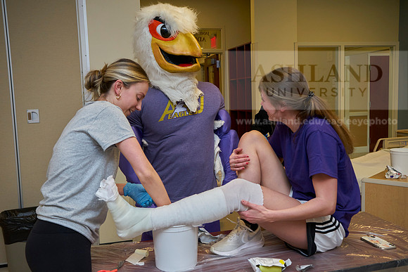 Nursing college-0329_AP_07563