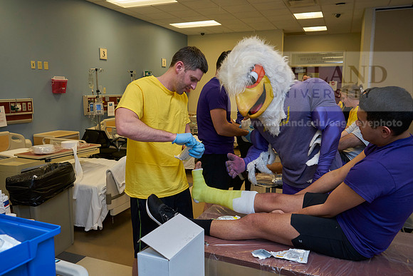 Nursing college-0329_AP_07548
