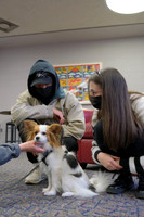 TherapyDogs1208AP_5274