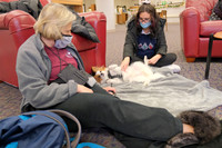 TherapyDogs1208AP_5170