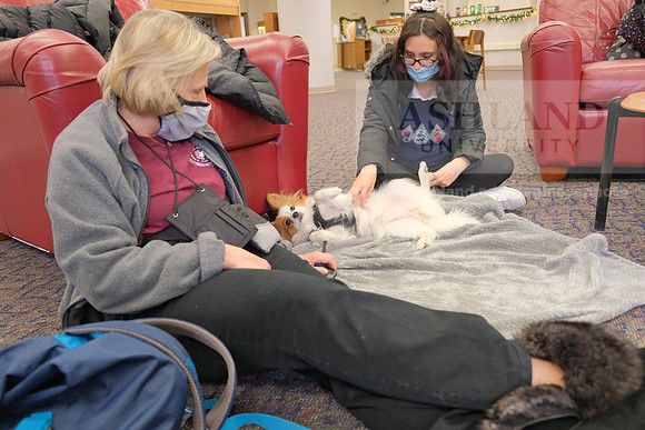 TherapyDogs1208AP_5170