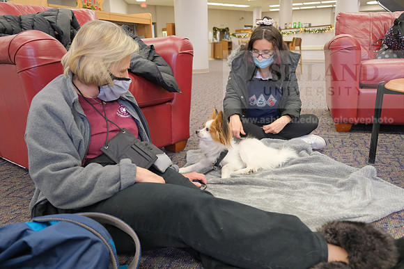 TherapyDogs1208AP_5171
