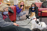 TherapyDogs1208AP_5187