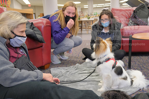 TherapyDogs1208AP_5187