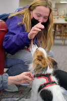 TherapyDogs1208AP_5208