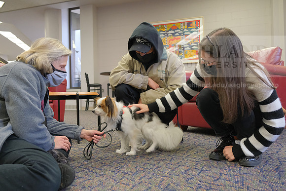 TherapyDogs1208AP_5251