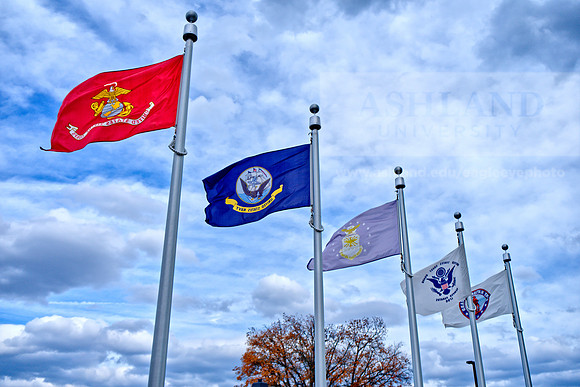 VeteransEvent1111AP_04529
