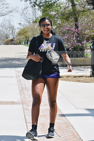 DSC_3626.NEF