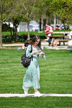 DSC_3660.NEF