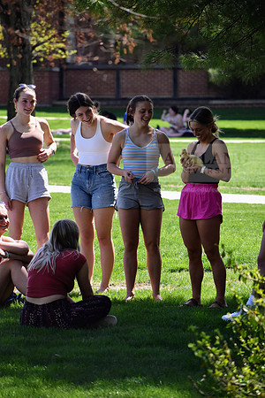 DSC_3754.NEF