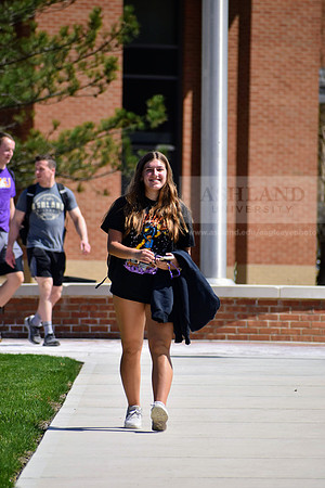 DSC_3775.NEF