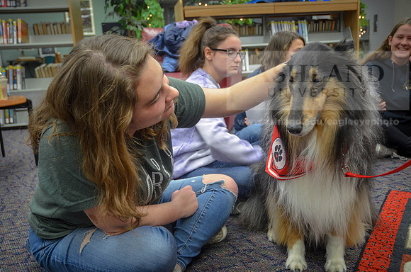 Cummins_Library Therapy Dogs-7