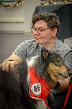Cummins_Library Therapy Dogs-6