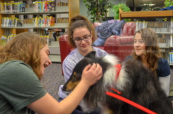 Cummins_Library Therapy Dogs-4