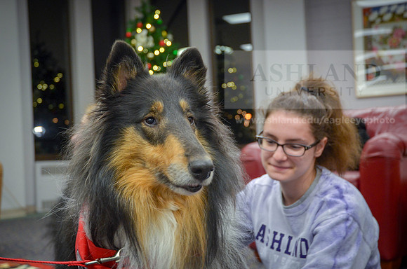 Cummins_Library Therapy Dogs-1