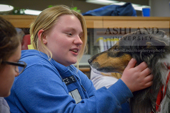 Cummins_Library Therapy Dogs-10