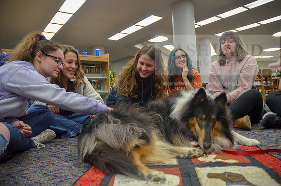 Cummins_Library Therapy Dogs-8