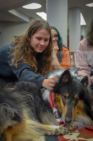 Cummins_Library Therapy Dogs-9