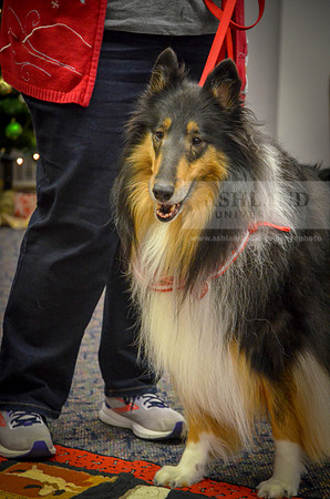 Cummins_Library Therapy Dogs-5