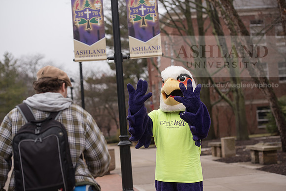 Tuffy - Campus Wellness Program