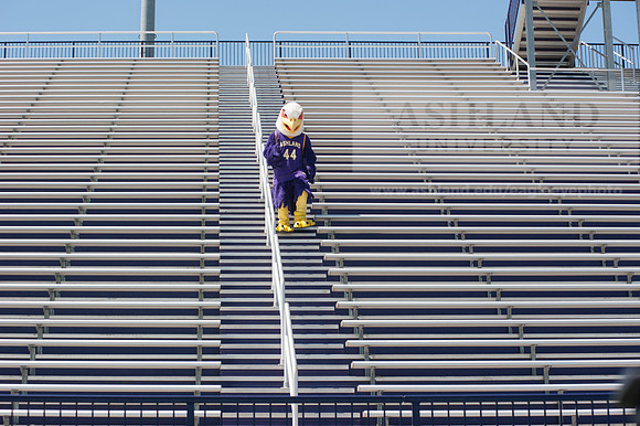 Tuffy Preparing for Marathon
