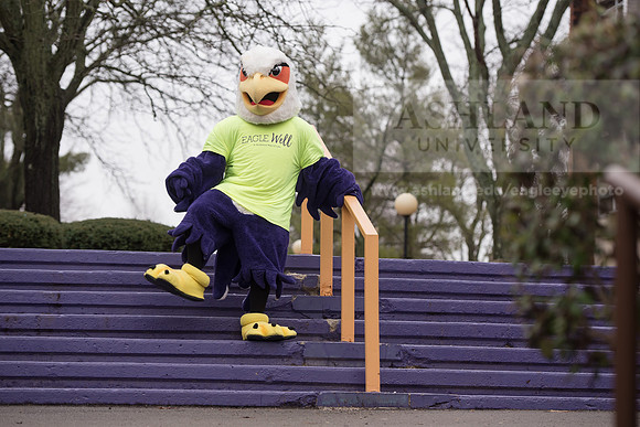 Tuffy - Campus Wellness Program