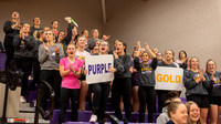 Volleyball fans(2)