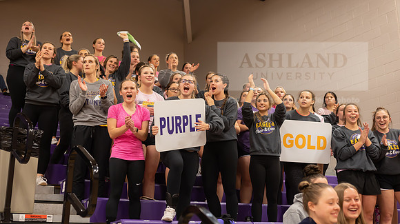 Volleyball fans(2)