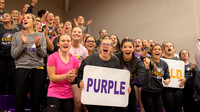 Volleyball fans(1)
