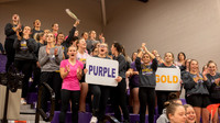 Volleyball fans(4)