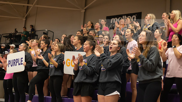 Volleyball fans(3)