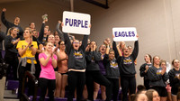 Volleyball fans