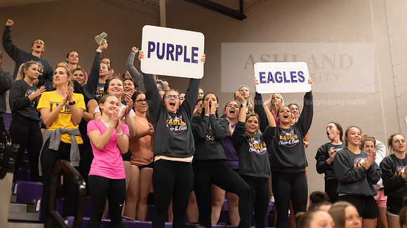 Volleyball fans