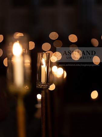 Festival of lights 2022-43