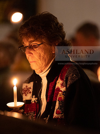 Festival of lights 2022-31