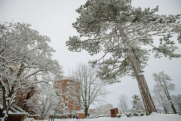 WinterCampusLife0123ALW_3153
