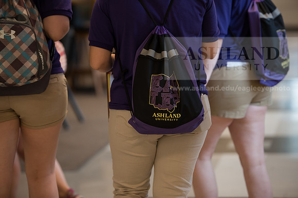 Orientation Number 2