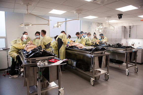 PAProgramCadaverLab1221ALW_3681