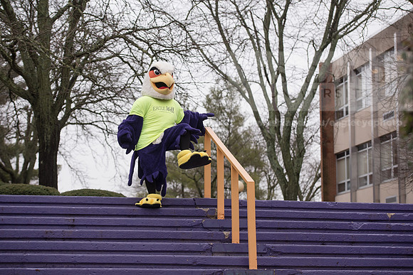 Tuffy - Campus Wellness Program