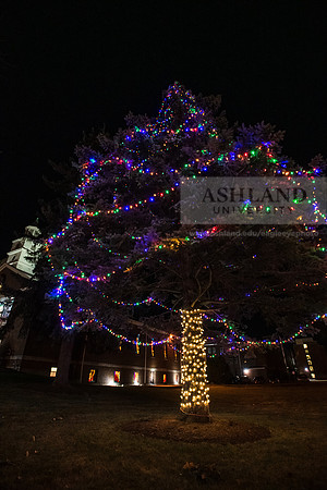 ChristmasDecorations1224AWB_5230