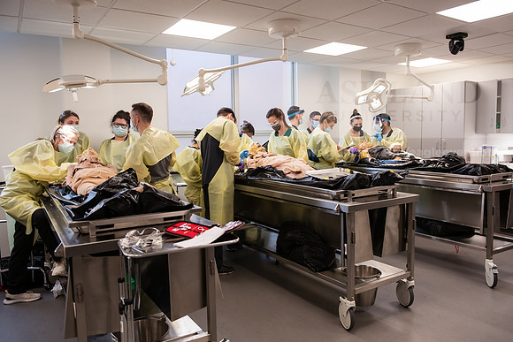PAProgramCadaverLab1221ALW_3682