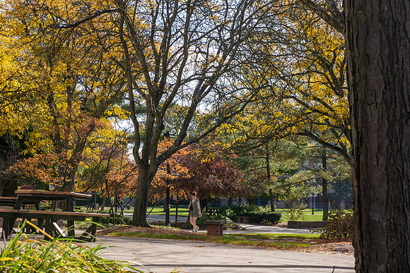 FallCampusLife1024AWB_5641