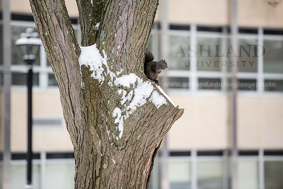 StudentsReturnWinterCampus0125AWB_6487
