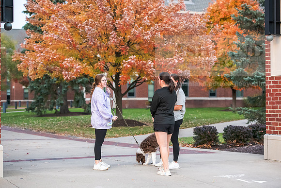 FallCampusLife1024AWB_7775