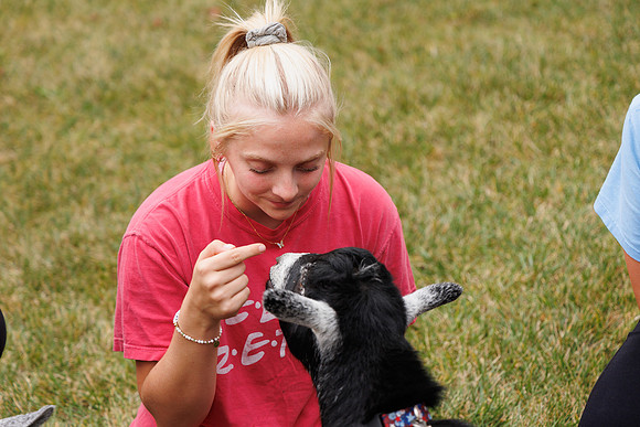 Goat Yoga 1023 BS-070