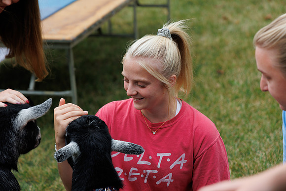 Goat Yoga 1023 BS-084