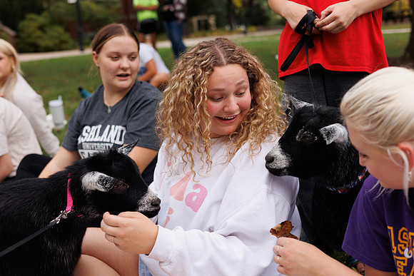 Goat Yoga 1023 BS-0115