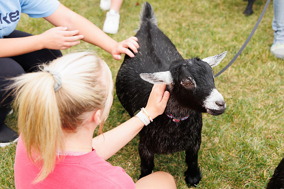 Goat Yoga 1023 BS-123