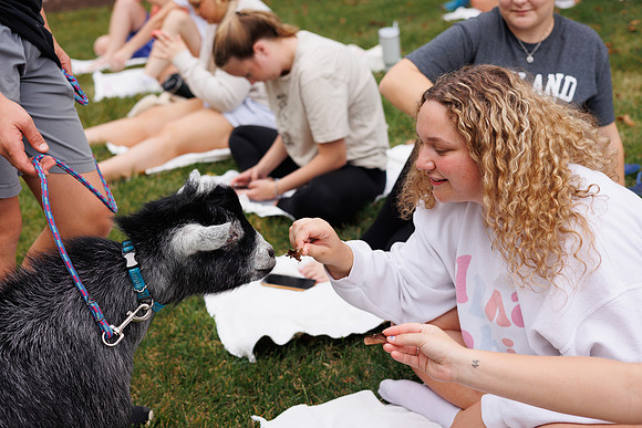 Goat Yoga 1023 BS-0157