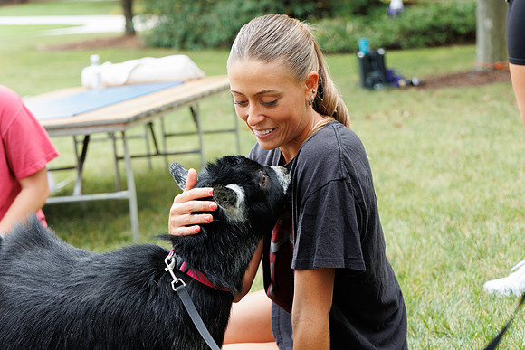 Goat Yoga 1023 BS-178